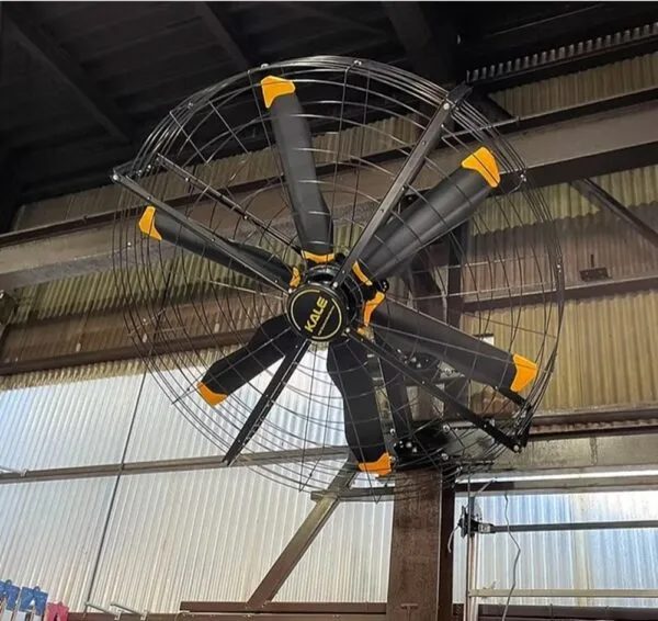 Quạt công nghiệp Kale fans AIRFREE