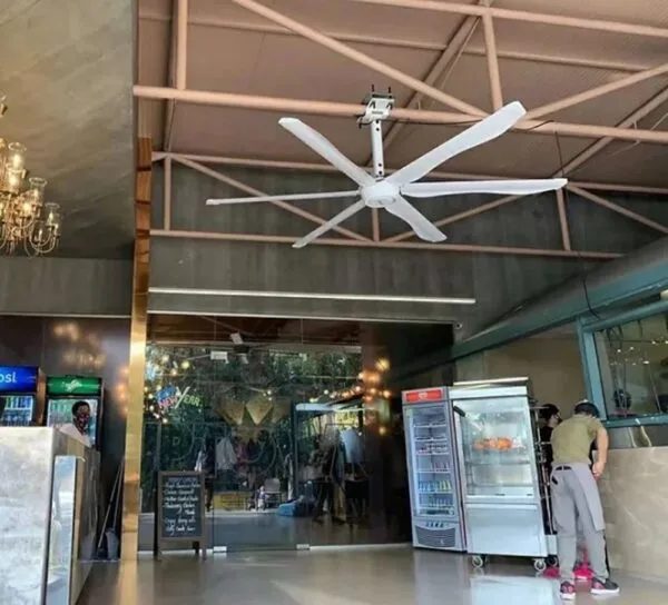 Quạt công nghiệp Kale fans AIRCOOL