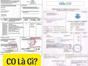 CO Là Gì
