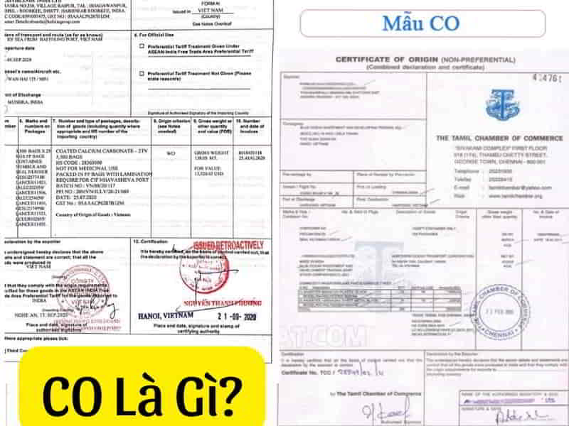 CO Là Gì