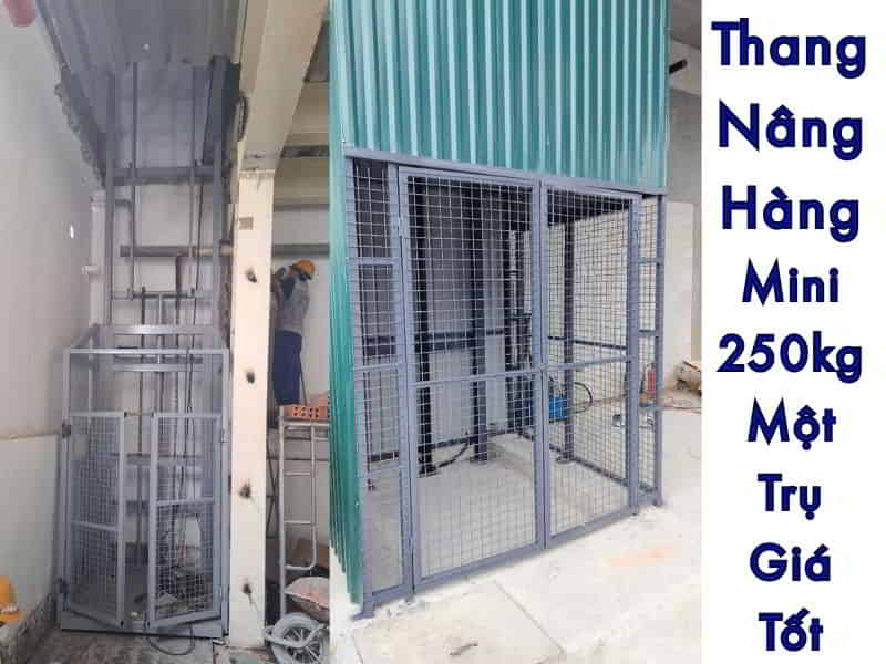 Thang Nâng Hàng Mini 250kg Nhập Khẩu